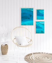 Load image into Gallery viewer, Atoll