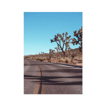 Load image into Gallery viewer, Yucca Palm