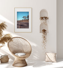 Load image into Gallery viewer, Yucca Palm