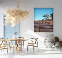 Load image into Gallery viewer, Yucca Palm