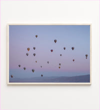 Load image into Gallery viewer, Fly High