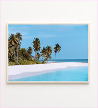 Load image into Gallery viewer, Paradise