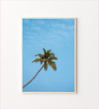 Load image into Gallery viewer, Lonely Palm