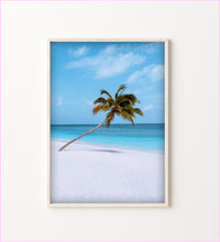 Load image into Gallery viewer, The Palm