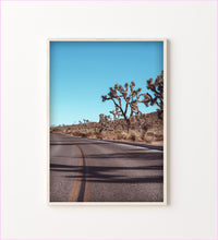 Load image into Gallery viewer, Yucca Palm