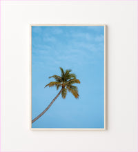 Load image into Gallery viewer, Lonely Palm
